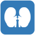 Dialysis Facilities